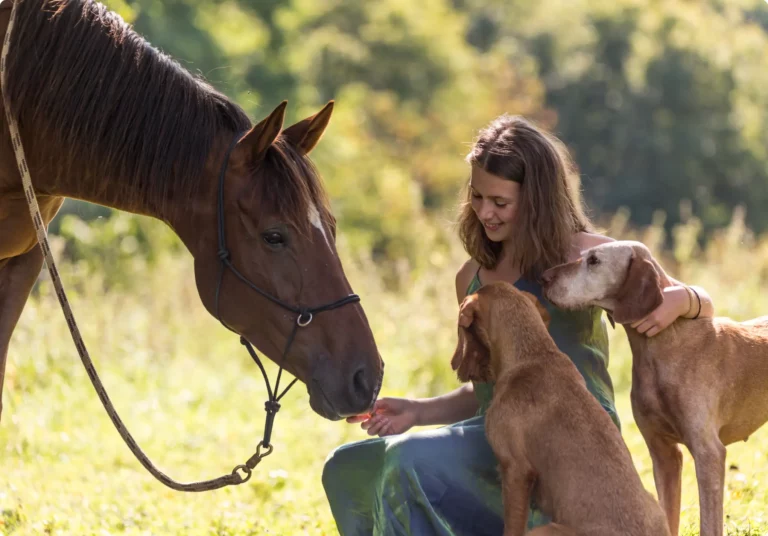 photo femme cheval et chiens